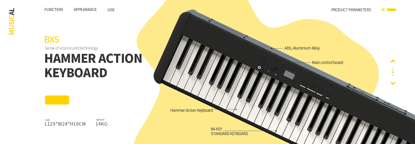 <strong>Hammer Action Digital Piano</strong>
